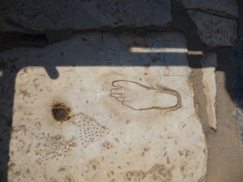 P1040724.JPG 3456x2592 index 480